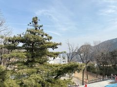 -沂蒙山旅游区云蒙景区(蒙山国家森林公园)