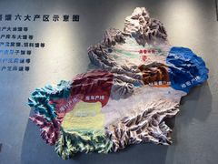 -新疆国际大巴扎