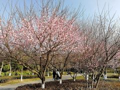 -太子山公园(园东路)