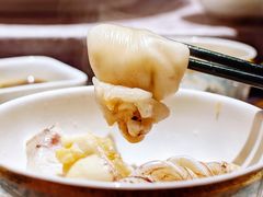 鱼鳔-粤凤佬