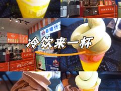 -萨朗刀克冰淇淋雪花凉(植物园店)