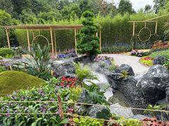 -深圳仙湖植物园