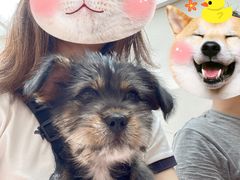 -有猫主题·治愈系猫咖(曾厝垵店)