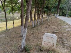 -东坝千亩湖公园