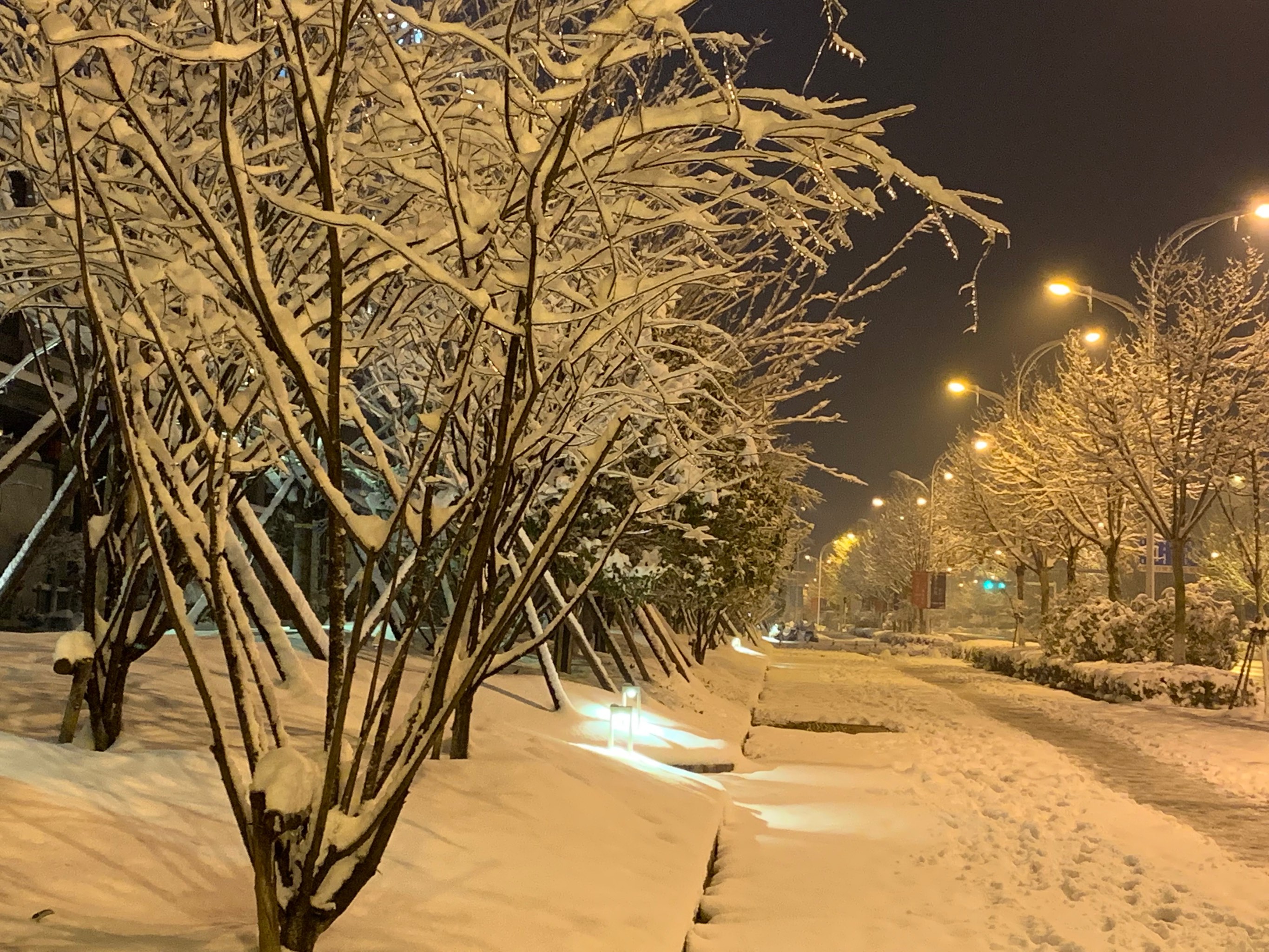 城市下雪夜景图片大全图片