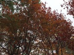 -香山公园-东宫门售票处