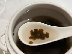 葛仙米炖汤-西郊5号·Maggie 5