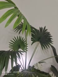 -HEYAN荷妍专业脱毛连锁机构