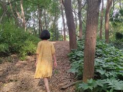 -马王堆汉墓遗址