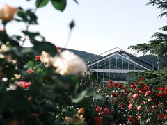 -国家植物园南园