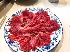 -卤校长老火锅(沙坪坝直营店)