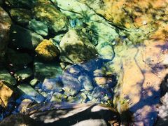 -祁门牯牛降观音堂风景区