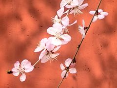 -月坛公园