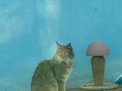 -青藏高原野生动物园
