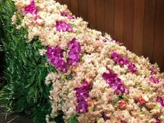 -半岛翡丽海鲜自助餐厅(观风亭店)