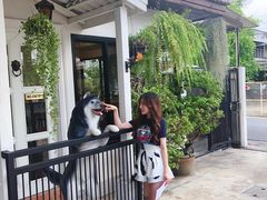 -TrueLove @ Neverland (Husky Cafe)