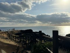 -涉地可支