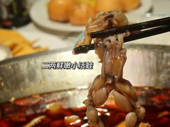 -蛙一刀·麻椒鱼火锅(金仙桥店)