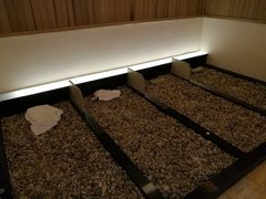 -汤里来温泉