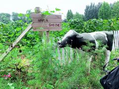 -安德鲁户外烧烤帐篷营地(马泉营店)