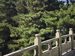 -庐山风景区花径公园