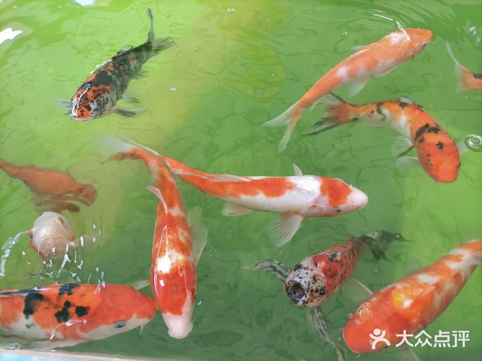 蓬莱欧乐堡梦幻世界图片