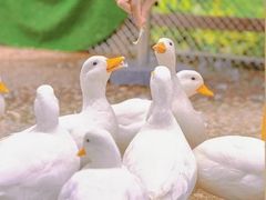 -珠海海泉湾神秘岛亲子乐园