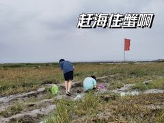 -南汇嘴观海公园