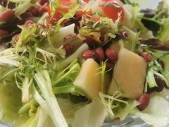 -九头鸟酒家(东高地店)