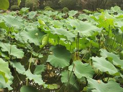 -莹珠阁·私房菜