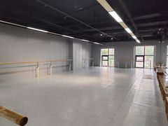 -舞蕾舞蹈(特长生校区)