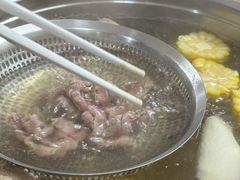 牛骨原汤锅-顺记牛肉店