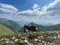 -蔚县茶山村