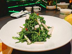 -三强鸽子(中原路店)