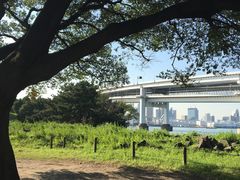 -台场海滨公园船码头