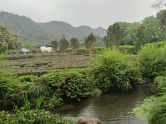-中国茶叶博物馆(双峰馆区)