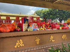 -广州莲花山旅游区