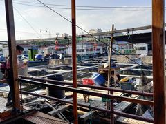 -蓝湾碧波·老字号·疍家非遗海上餐厅