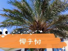 -惠州金海湾嘉华度假酒店