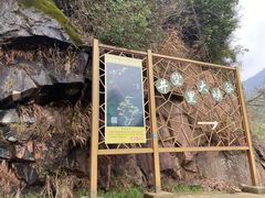 -井空里大峡谷