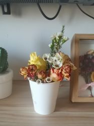 -敦南真爱月子会所(黄埔店)