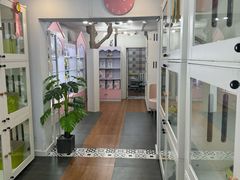 -青奢宠物·青奢猫舍