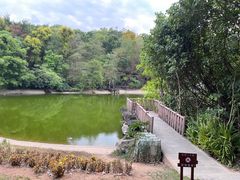 -深圳国际园林花卉博览园