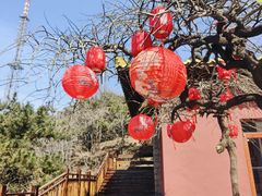 -沂蒙山旅游区龟蒙景区
