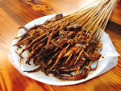 综合鱿鱼-十里铺铁板鱿鱼