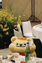 -DC大蔡婚礼策划(李公堤店)