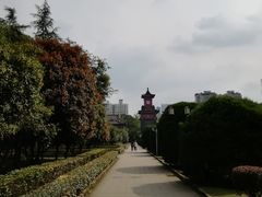 -四川大学(华西校区)