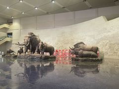 -大庆市博物馆