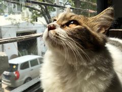 -五月木作·DIY木作文创体验店(北京路店)