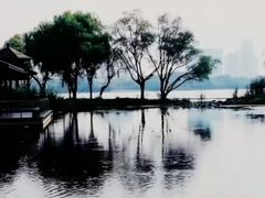 -渤公岛生态公园